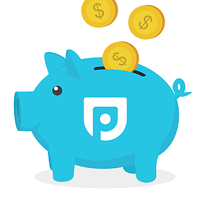 Paribus Piggy Bank